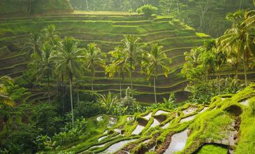Harikalar Diyarı Bali - Ubud Turu Rotası 