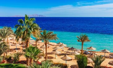 Mısır Turu Kadim Rotalar V2