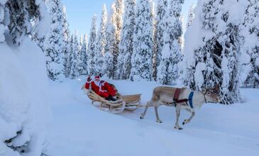 Dolu Dolu Lapland Turu Beyaz Rotalar (3 Gece)
